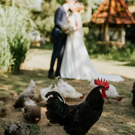 Forsthaus Seebergen Hotel Lutjensee