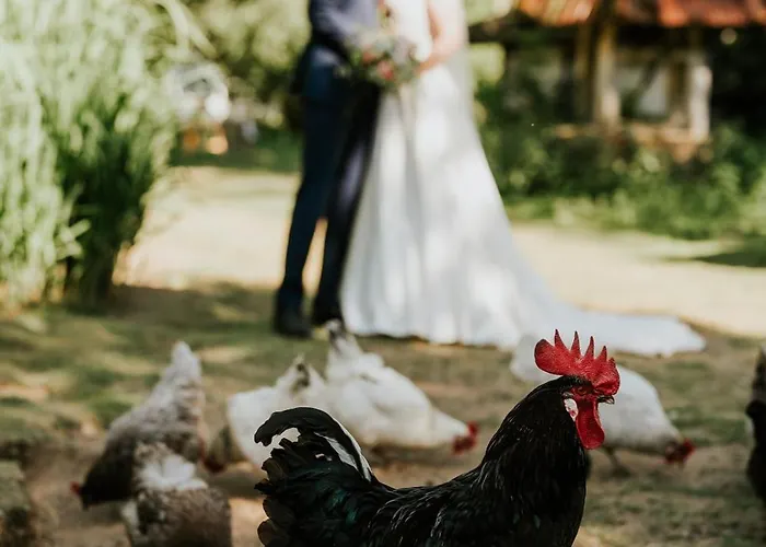 Forsthaus Seebergen Hotel Lutjensee